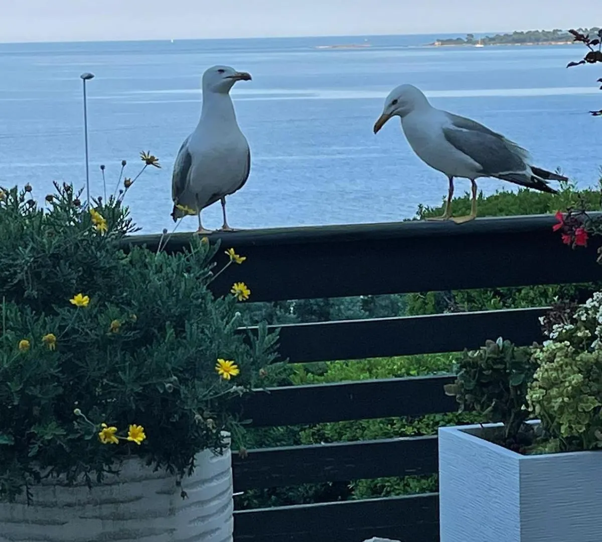 Eden Sea Cannes Villa